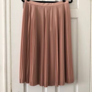 J Crew Skirt